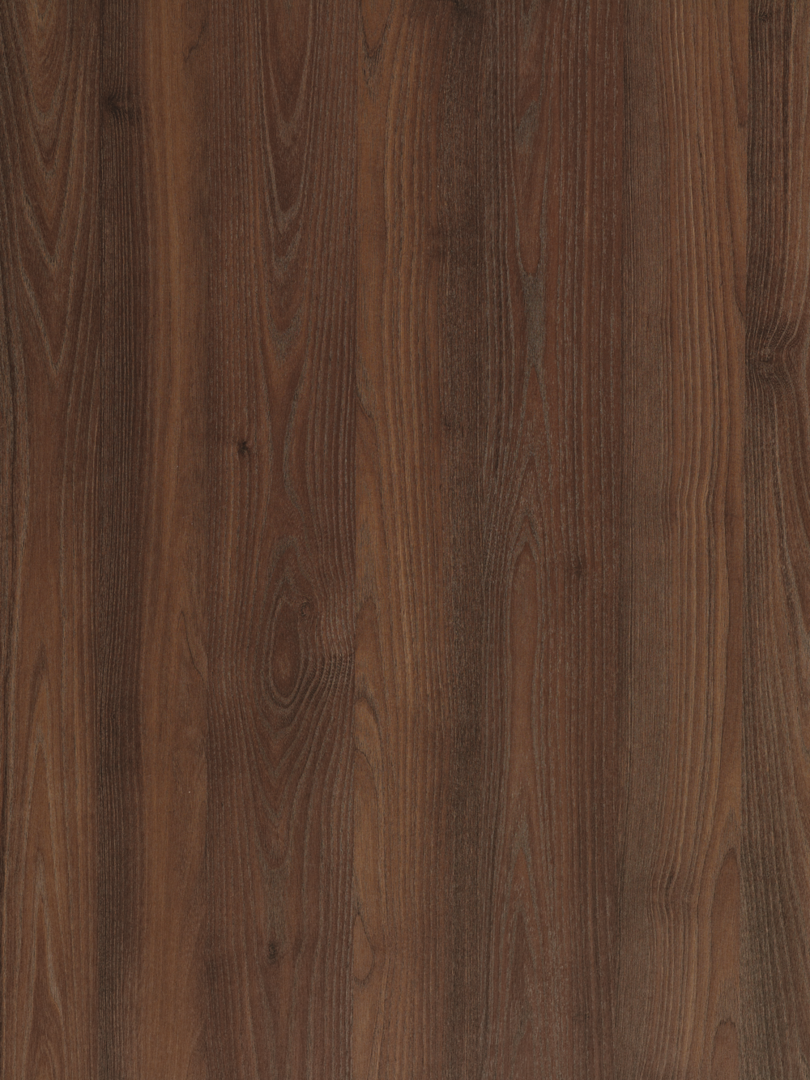 k4329_robinie-battistra.png